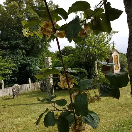 Country house Maria Bargiela A Picarana