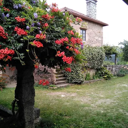 Maria Bargiela A Picarana