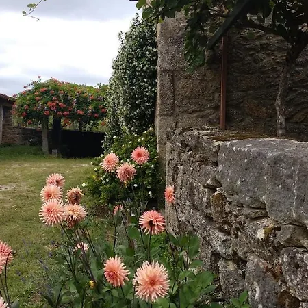 Maria Bargiela * A Picarana