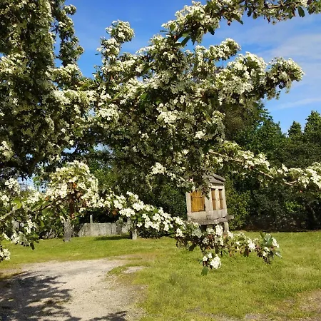 Maria Bargiela Casa di campagna